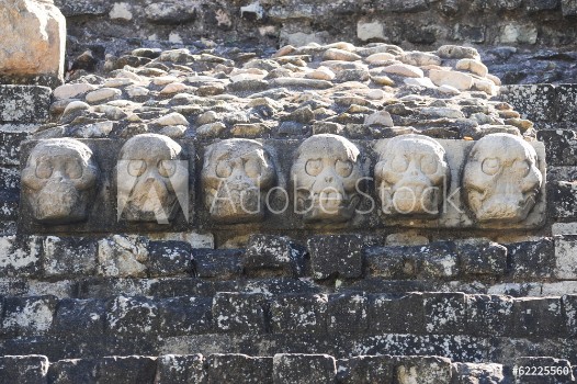 Picture of The Mayan ruins of Copan